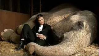 Please Dont Go Soundtrack Water For Elephants w Lyrics Español  English [upl. by Acinoev]