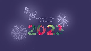 Meilleurs voeux Best wishes 2023 [upl. by Chow]