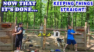 NOT BACKING DOWN  vlog couple builds tiny house homesteading offgrid rv life rv living [upl. by Amasa]