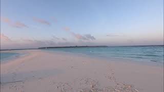 Sandbank Breakfast at Soneva Fushi [upl. by Hessler]