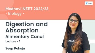 Digestion and Absorption  Alimentary Canal  L1  NEET 202223  Seep Pahuja [upl. by Nichola912]