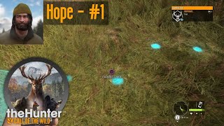 Hope  1 theHunter Call of the Wild [upl. by Lumpkin]