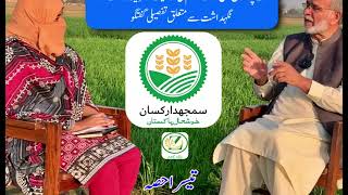 Part 3  Podcast Dr Makhdoom Hussain  Biofortified Zincenriched Wheat [upl. by Venola]