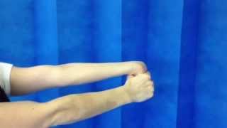 Forearm flexor stretch [upl. by Walsh]