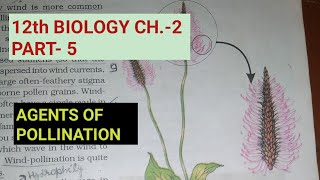 Class 12 biology chapter2 Part5 Agents of pollinationStudy with Farru [upl. by Resee854]