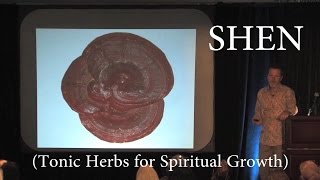 Herbs for Spiritual Health Shen w Rehmannia Dean Thomas [upl. by Zulema241]