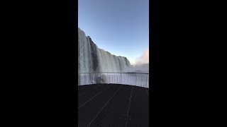 Cataratas do Iguaçu 🌊 shorts [upl. by Nyladnohr974]