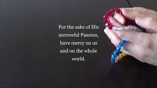 Praying the Chaplet of Divine Mercy with the World Mission Rosary [upl. by Fagin317]