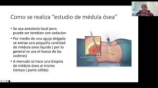 Webinar  Transfusión de Sangre y Trasplante de médula ósea [upl. by Gertrud]