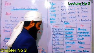 Taxonomy Hirerachy Class 9 Biology in Urdu  Classification of human And pea plant Lec 3 Chap 3 [upl. by Arhaz469]