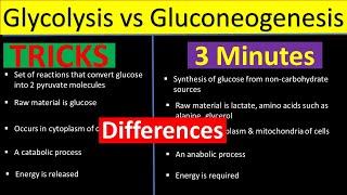 Glycolysis vs Gluconeogenesis  Difference between Glycolysis and Gluconeogenesis Biology Lectures [upl. by Burget]