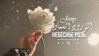 أغنية روسية رومانسية  JONY  Небесные розы  سنتعلم كيف نطير، إذا وثقنا ببعضنا 🤎 [upl. by Forrest]