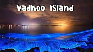 Vadhoo Island Maldives  Place to Visit in Maldives [upl. by Jews]