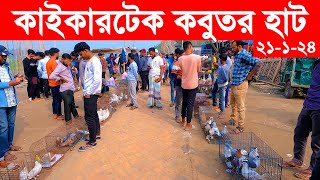 কাইকারটেক কবুতর হাট ২১১২০২৪  kobutor hat 2024  pigeon market in bangladesh  Kaikertek kobutor [upl. by Seek]