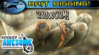 Awesome Bait Digging Tips  Ragworm  TAFishing [upl. by Vanzant]