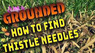 Grounded How to find Thistle Needles [upl. by Mccandless619]