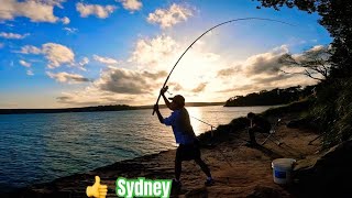 NSW Fishing Club is live [upl. by Charleen]