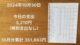 【家計簿】2024年10月30日 今日の支出スーパーロピアのマルゲリータピザ（直径30cm）税抜き399円は買いです。翌日も生地がふかふかで美味しかったです。 [upl. by Jeanine141]