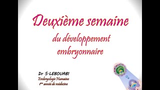 2ème semaine de développement embryonnaire [upl. by Daughtry564]