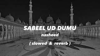 Sabeel ud dumu  nasheed slowed amp reverb [upl. by Tor880]