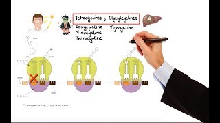 Pharmacology – ANTIBIOTICS – DNA RNA FOLIC ACID PROTEIN SYNTHESIS INHIBITORS MADE EASY [upl. by Jovitta]