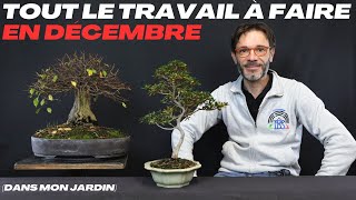 Tout le travail à faire en décembre dans mon jardin [upl. by Luigi432]