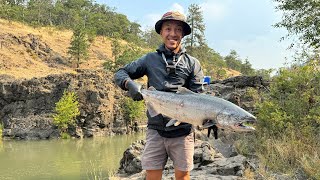 BOBBER FISHING FOR FALL CHINOOK SALMON [upl. by Nyladam]