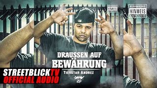 TIERSTAR ANDREZ FEAT PESHMERGA amp AUTODIDAKT  NUR 1 BEISPIEL STREETBLICKTV [upl. by Eahsram652]