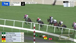 Gulfstream Park Carrera 2  14 de Enero 2024 [upl. by Reyam25]