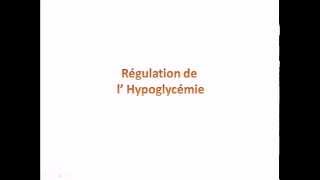 Régulation de lhypoglycémie [upl. by Det]