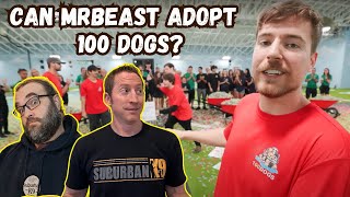 MrBeast Adopts Out 100 DogsDOG TRAINERS React [upl. by Bratton259]