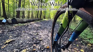 Welver Wald  schön viel quotGeländequot unter den GravelReifen  GravelEmWee [upl. by Jemena]