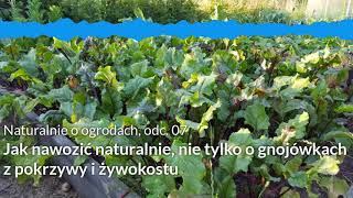 NoO 07 Jak nawozić naturalnie nie tylko o gnojówkach z pokrzywy i żywokostu [upl. by Sabian]