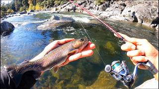 Catch and Cook WILD Trout Last One of the Year [upl. by Hanid]