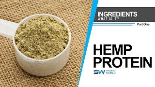 Health Benefits of Hemp Protein [upl. by Aknahs]