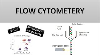 The Principle of Flow Cytometry and FACS 1 Flow Cytometry [upl. by Enomor620]