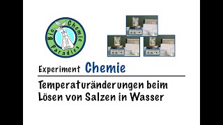 Experiment Chemie – Temperaturänderungen beim Lösen von Salzen in Wasser [upl. by Hsotnas]