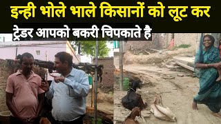 Goat farming  Goat trening  Goat fedding  goat video [upl. by Sucerdor967]