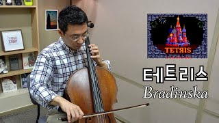 첼로연주 테트리스TetrisBradinska  Russian Folk Song Cello 이명환 [upl. by Melvin]