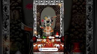 Aaj Ka Darshan Ashwin Shukla Ashtami 25 September 2024 Shrinathji ke Darshan [upl. by Beth]