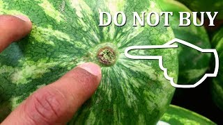 How to Pick a Sweet Watermelon [upl. by Gahl]