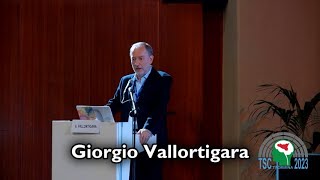 Giorgio Vallortigara Consciousness and cognition in the animal mind [upl. by Erot]