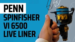 Penn Spinfisher VI 6500 Live Liner  Unboxing  Live footage [upl. by Nerrat211]