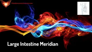 Unblock and Balance the Large Intestine Meridian  Reiki EnergyFrequency Healing Music [upl. by Noremak]