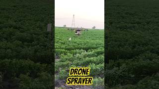 Drone sprayerviralvideo drone dronesprayagricultural agriculture shots [upl. by Tamarra734]