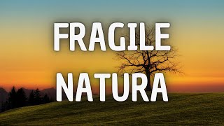 Fragile Natura  Canzone Originale Testo Toccante [upl. by Eiramalegna]