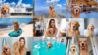 The Adventures of Tucker Budzyn Compilation [upl. by Aneelehs]