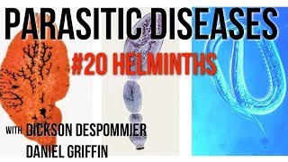 Parasitic Diseases Lectures 20 Helminths [upl. by Ytiak]