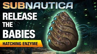 Making the Hatching Enzyme  SUBNAUTICA [upl. by Dan184]