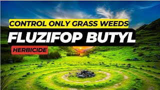 Fluzifop Butyl Herbicide Effective Grass Weed Control in Agriculture  Mode of Action amp Uses [upl. by Luelle]